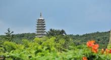 宝华山国家森林公园1