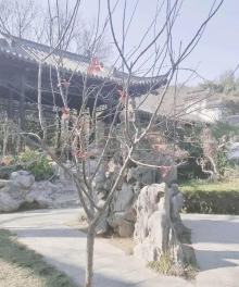 醉翁亭28
