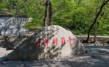 醉翁亭5