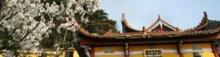 天台寺（天台峰）13