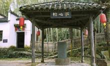 婺源严田8