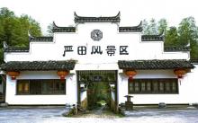 婺源严田7