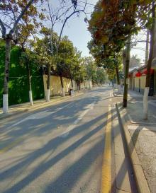 颐和路公馆区24