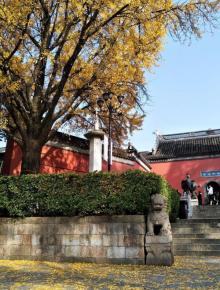 栖霞寺25