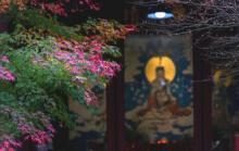 栖霞寺15