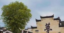 铜陵犁桥水镇景区2