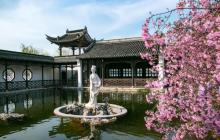 莫愁湖景区8