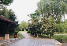 蜀山森林公园28