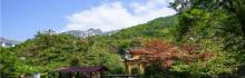 黄山温泉19