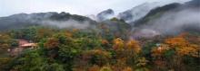 黄山温泉10