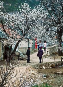 杏花村风景区2