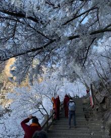 花台景区30