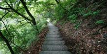 仙寓山景区30