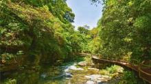 仙寓山景区9
