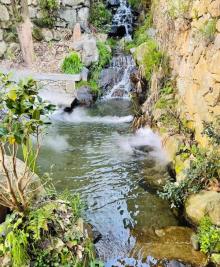 花溪水街19