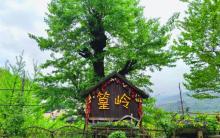 花溪水街18