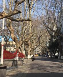 南京大学20