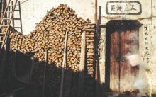 石城11