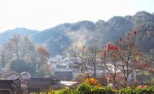 石城21