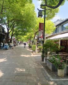 皮市街2