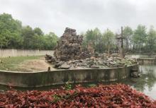 合肥野生动物园7