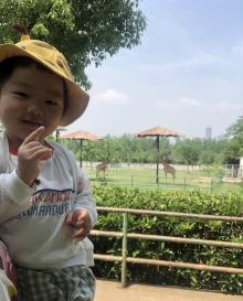 合肥野生动物园18