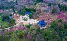 梅花山2