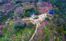 梅花山4