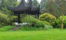 南京中山植物园24