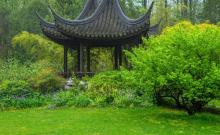 南京中山植物园25