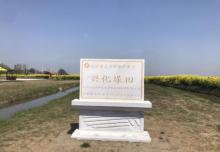千垛景区29