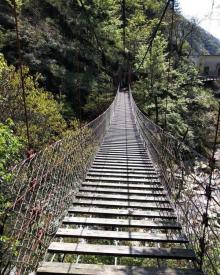 大鄣山卧龙谷15
