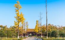 南京明故宫遗址公园4