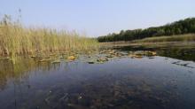 溱湖国家湿地公园26