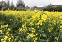 棠樾牌坊群鲍家花园30