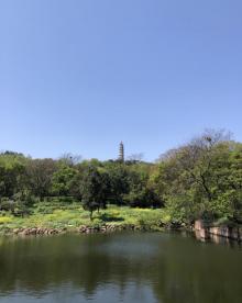 姥山岛12