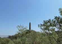 姥山岛14