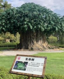 花山世界・花山谜窟19