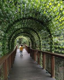 花山世界・花山谜窟25