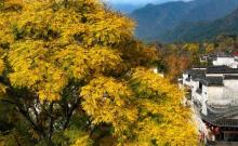 塔川5