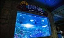 南京海底世界14