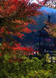 栖霞山15