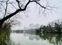 包公园3