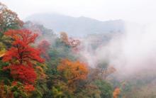 瑶里景区5