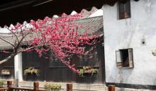 大明寺26