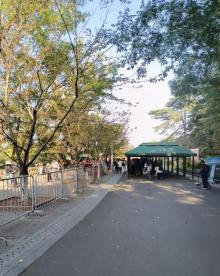 玄武湖景区24