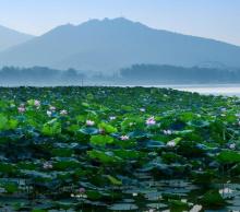 玄武湖景区18
