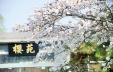 玄武湖景区2