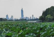 玄武湖景区28