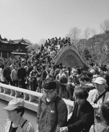 瘦西湖20